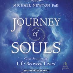 Journey of Souls by Michael Newton audiobook