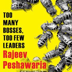 Too Many Bosses, Too Few Leaders by Rajeev Peshawaria audiobook