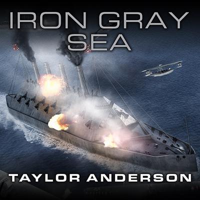 Destroyermen: Iron Gray Sea by Taylor Anderson audiobook