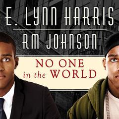 No One in the World by E. Lynn Harris audiobook