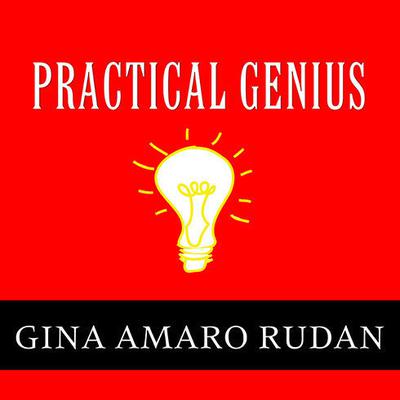 Practical Genius by Gina Amaro Rudan audiobook
