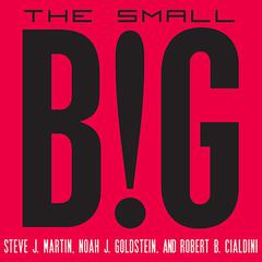 The Small Big by Robert B. Cialdini audiobook