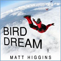 Bird Dream by Matt Higgins audiobook