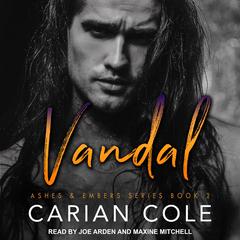 Vandal by Carian Cole audiobook