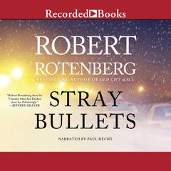 Stray Bullets by Robert Rotenberg audiobook
