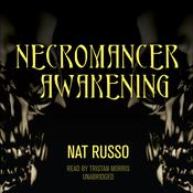 Necromancer Awakening by  Nat Russo audiobook