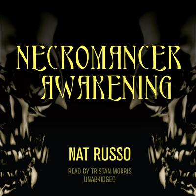 Necromancer Awakening by Nat Russo audiobook