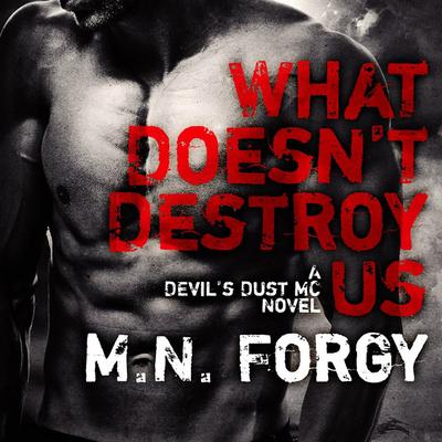 What Doesn't Destroy Us by M. N. Forgy audiobook