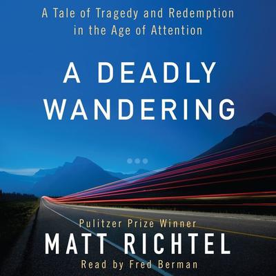 A Deadly Wandering by Matt Richtel audiobook