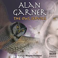 The Owl Service by Alan Garner audiobook