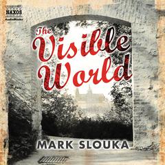 The Visible World by Mark Slouka audiobook