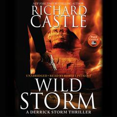 Wild Storm by Richard Castle audiobook