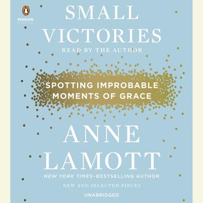 Small Victories by Anne Lamott audiobook