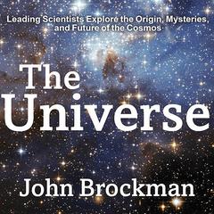The Universe by John Brockman audiobook