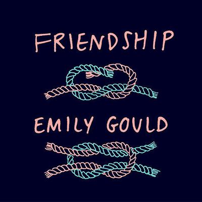 Friendship by Emily Gould audiobook