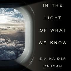 In the Light of What We Know by Zia Haider Rahman audiobook