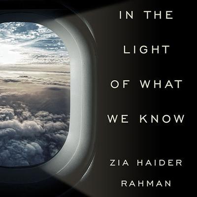 In the Light of What We Know by Zia Haider Rahman audiobook