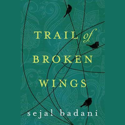 Trail of Broken Wings by Sejal Badani audiobook