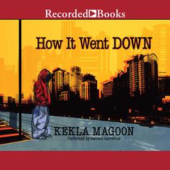 How It Went Down by Kekla Magoon audiobook