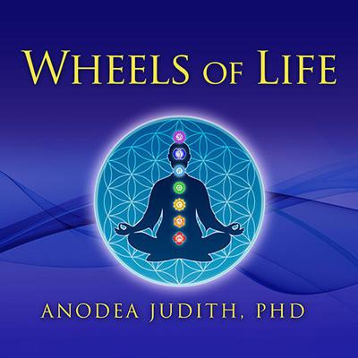 Wheels of Life by Anodea Judith audiobook