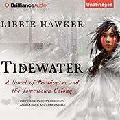 Tidewater by  Libbie Hawker audiobook