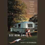 See How Small by  Scott Blackwood audiobook