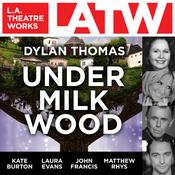 Under Milk Wood by  Dylan Thomas audiobook