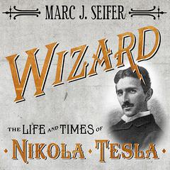 Wizard by Marc J. Seifer audiobook