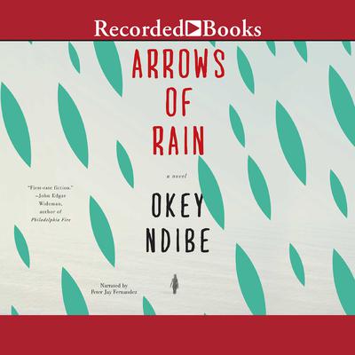 Arrows of Rain by Okey Ndibe audiobook