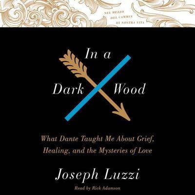 In A Dark Wood by Joseph Luzzi audiobook