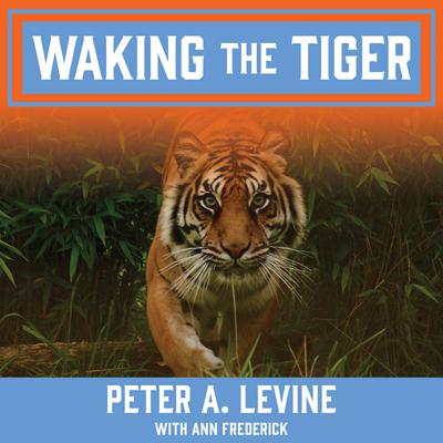 Waking the Tiger by Peter A. Levine audiobook