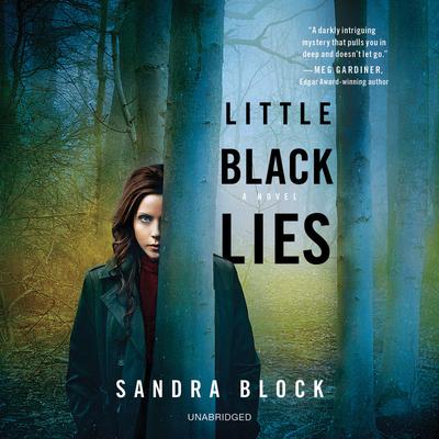 Little Black Lies by Sandra Block audiobook