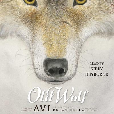 Old Wolf by Avi audiobook
