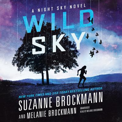 Wild Sky by Suzanne Brockmann audiobook
