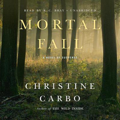 Mortal Fall by Christine Carbo audiobook