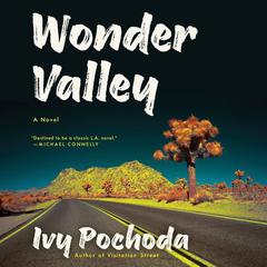 Wonder Valley by Ivy Pochoda audiobook