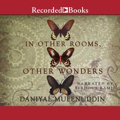 In Other Rooms, Other Wonders by Daniyal Muyeenuddin audiobook