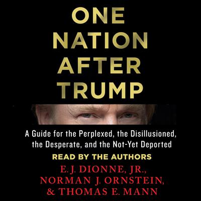 One Nation After Trump by E.J. Dionne audiobook