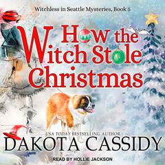 How the Witch Stole Christmas by Dakota Cassidy audiobook