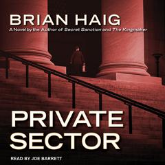 Private Sector by Brian Haig audiobook