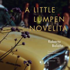 A Little Lumpen Novelita by Roberto Bolaño audiobook