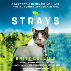 Strays by Britt Collins audiobook