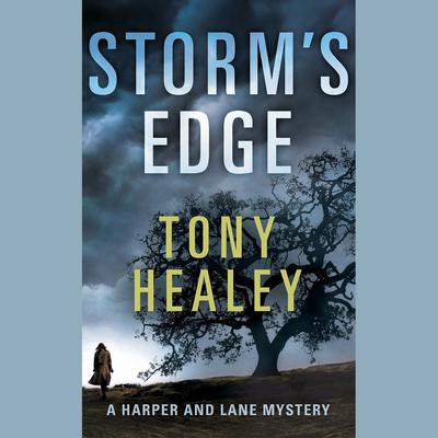Storm's Edge by Tony Healey audiobook