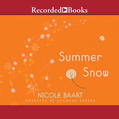 Summer Snow by Nicole Baart audiobook