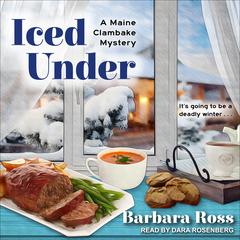 Iced Under by Barbara Ross audiobook