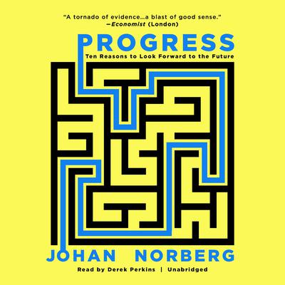 Progress by Johan  Norberg audiobook