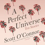 A Perfect Universe by  Scott O’Connor audiobook