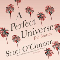 A Perfect Universe by Scott O’Connor audiobook