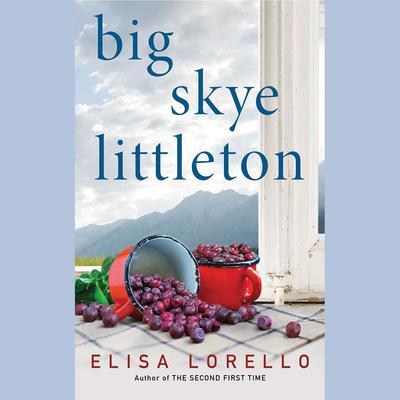 Big Skye Littleton by Elisa Lorello audiobook
