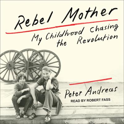 Rebel Mother by Peter Andreas audiobook